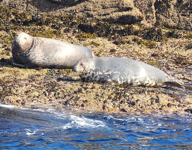 Isles of Scilly Tours